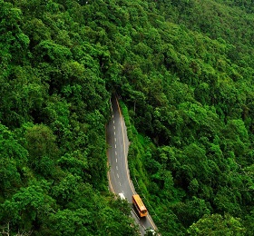 4 Nights 5 Days Wayanad and Ooty Tour Package